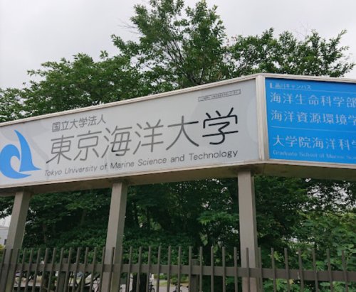 大学・短大　東京海洋大学（大学・短大）まで760m