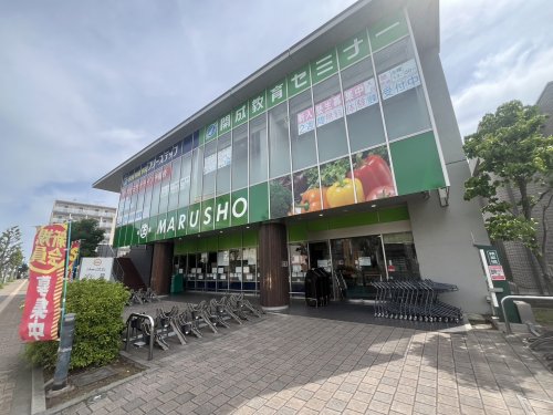 スーパー　丸正食品 保谷北口店（スーパー）まで217m