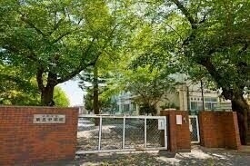中学校　中野区立第五中学校（中学校）まで856m