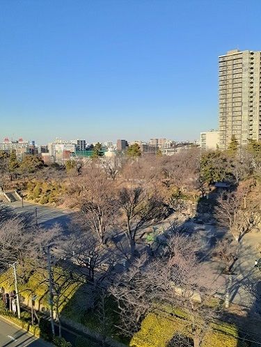 公園　飛鳥山公園（公園）まで200m