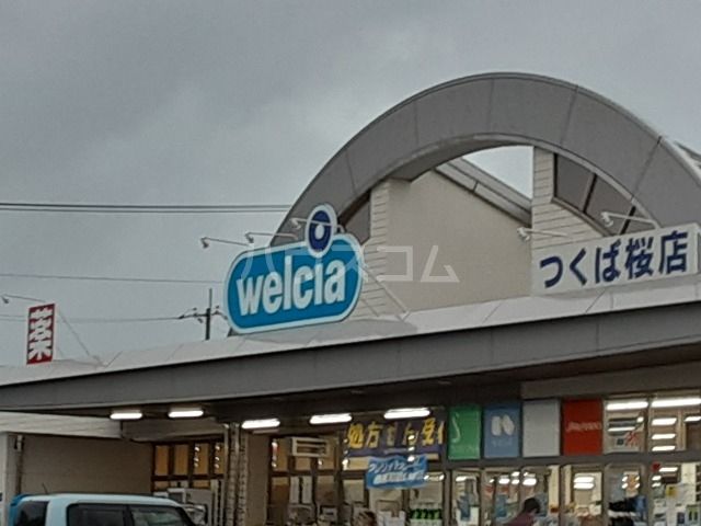 ドラックストア　ウエルシアつくば桜店（ドラッグストア）まで1044m