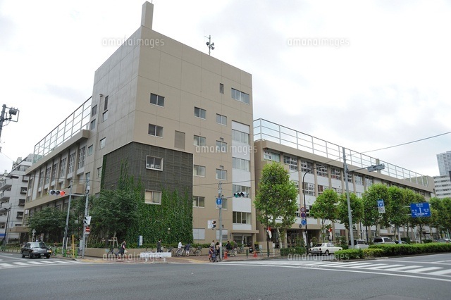 小学校　中央区立月島第一小学校（小学校）まで296m