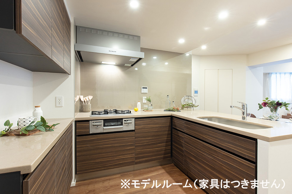 プレジリア柿の木坂のキッチン写真