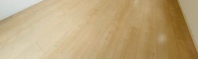 グランドール文京の居間写真