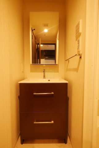 洗面設備　THE HERON Sの洗面所