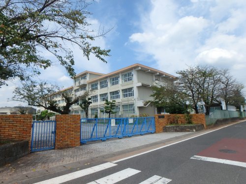 小学校　岐阜市立七郷小学校（小学校）まで1450m