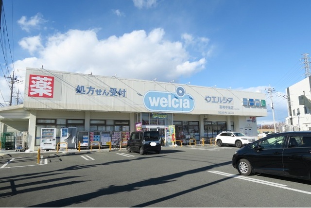 ドラックストア　ウエルシア高崎中居店（ドラッグストア）まで450m