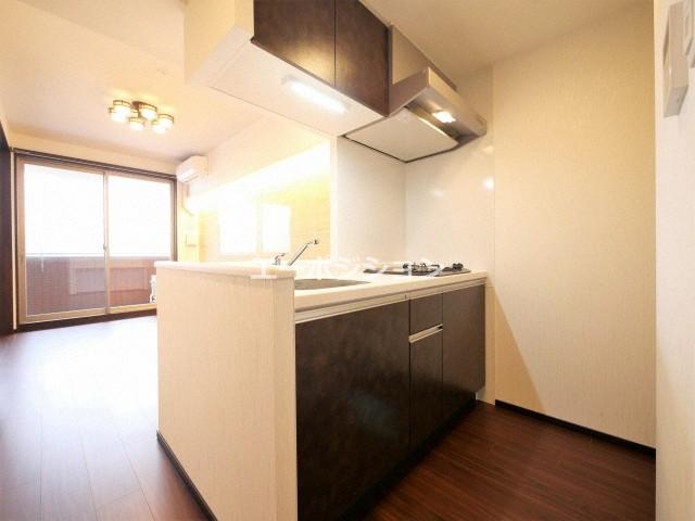 キッチン　プレジオ難波EURO