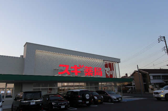 ドラックストア　スギ薬局名南店（ドラッグストア）まで678m