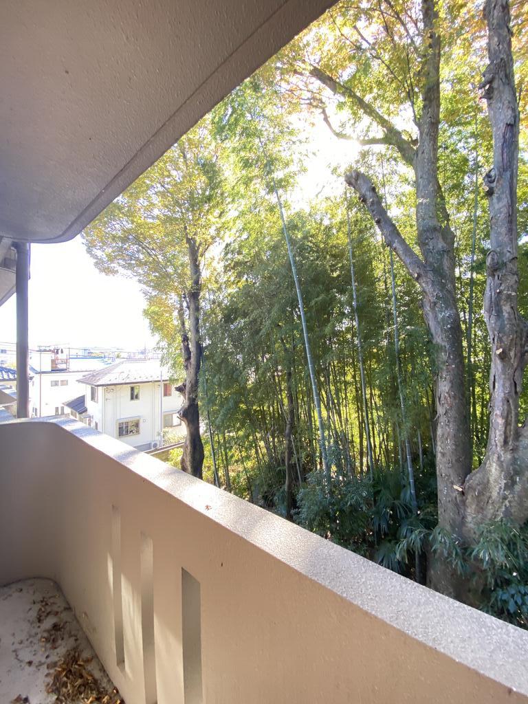 眺望　◆こちらの物件のお問合わせは、蕪木不動産へお問合せ下さい◆