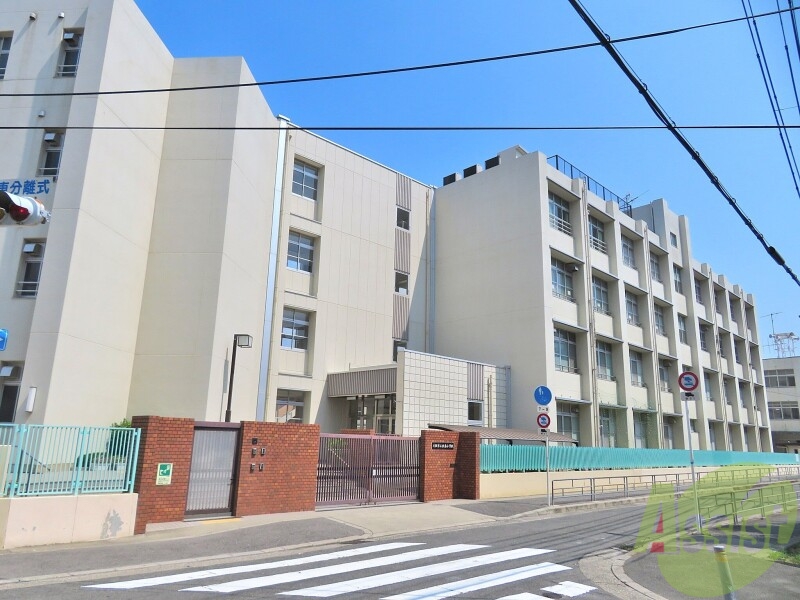 小学校　歌島小学校（小学校）まで310m