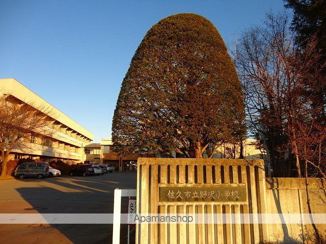 小学校　野沢小学校（小学校）まで1100m