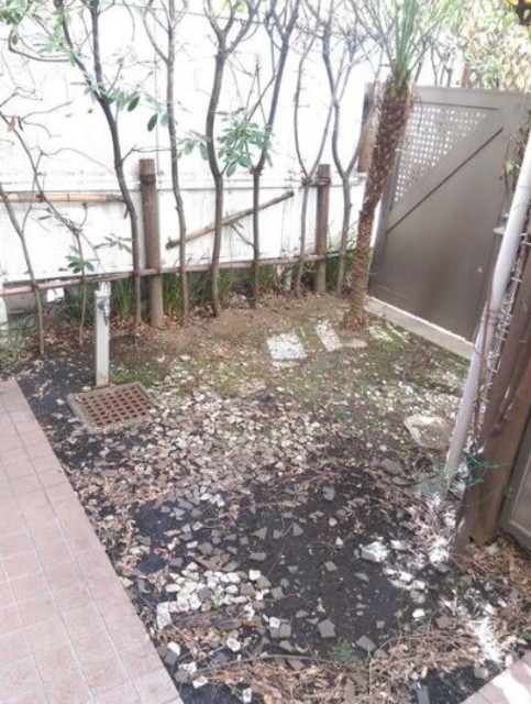 庭