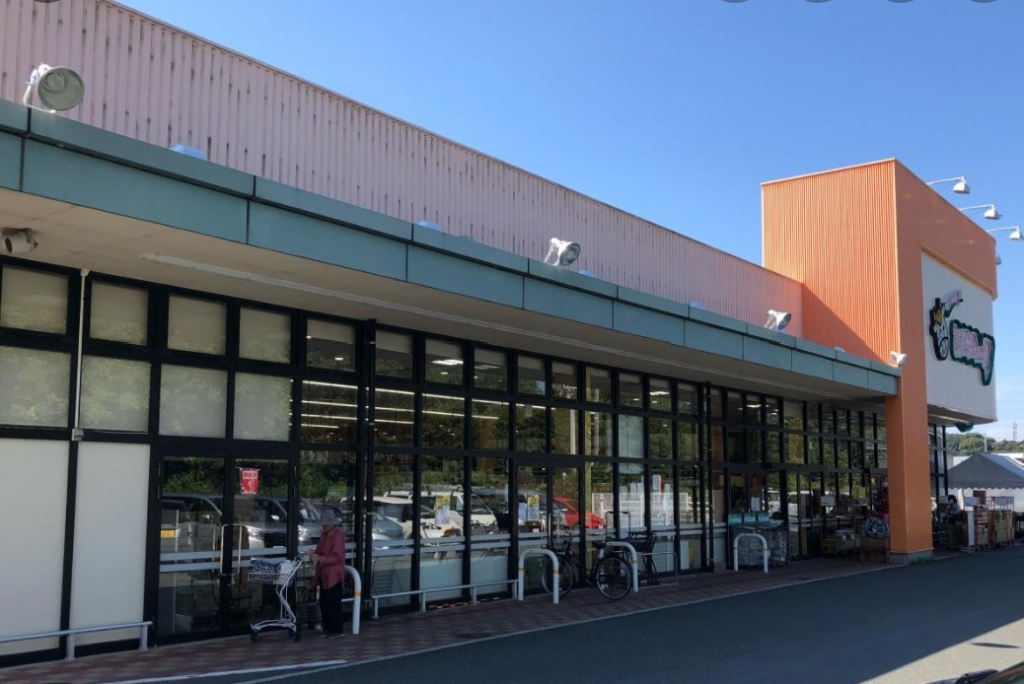 スーパー　Every BIGDAY(エブリィビッグデー) 有玉南店（スーパー）まで1091m