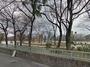 公園　本庄公園（公園）まで331m
