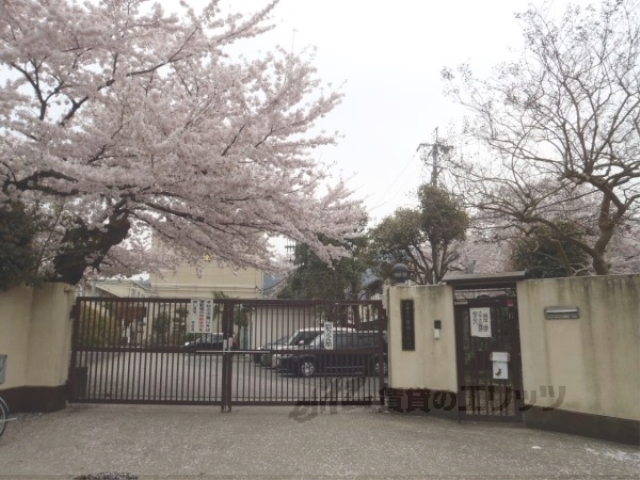 【京都市山科区音羽前田町のマンションの小学校】