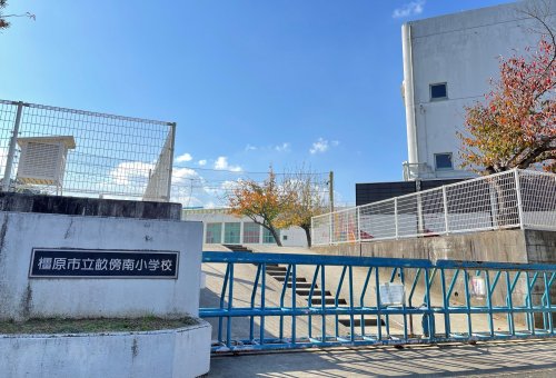 小学校　橿原市立畝傍南小学校（小学校）まで1701m