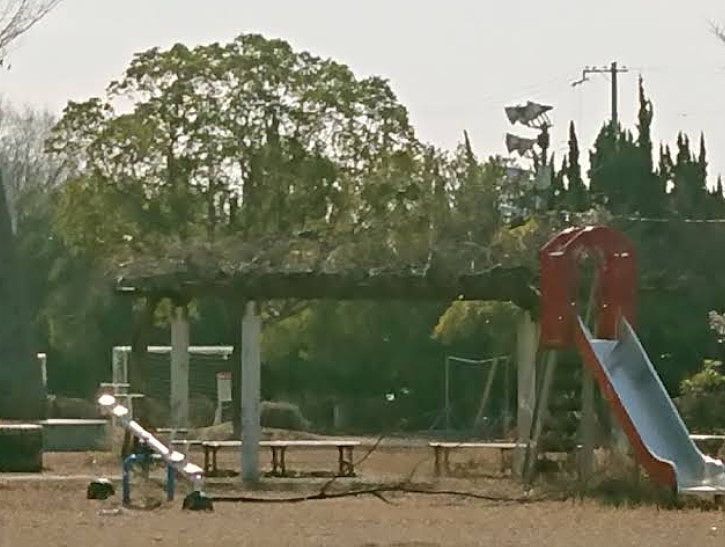 公園　山所公園（公園）まで1677m