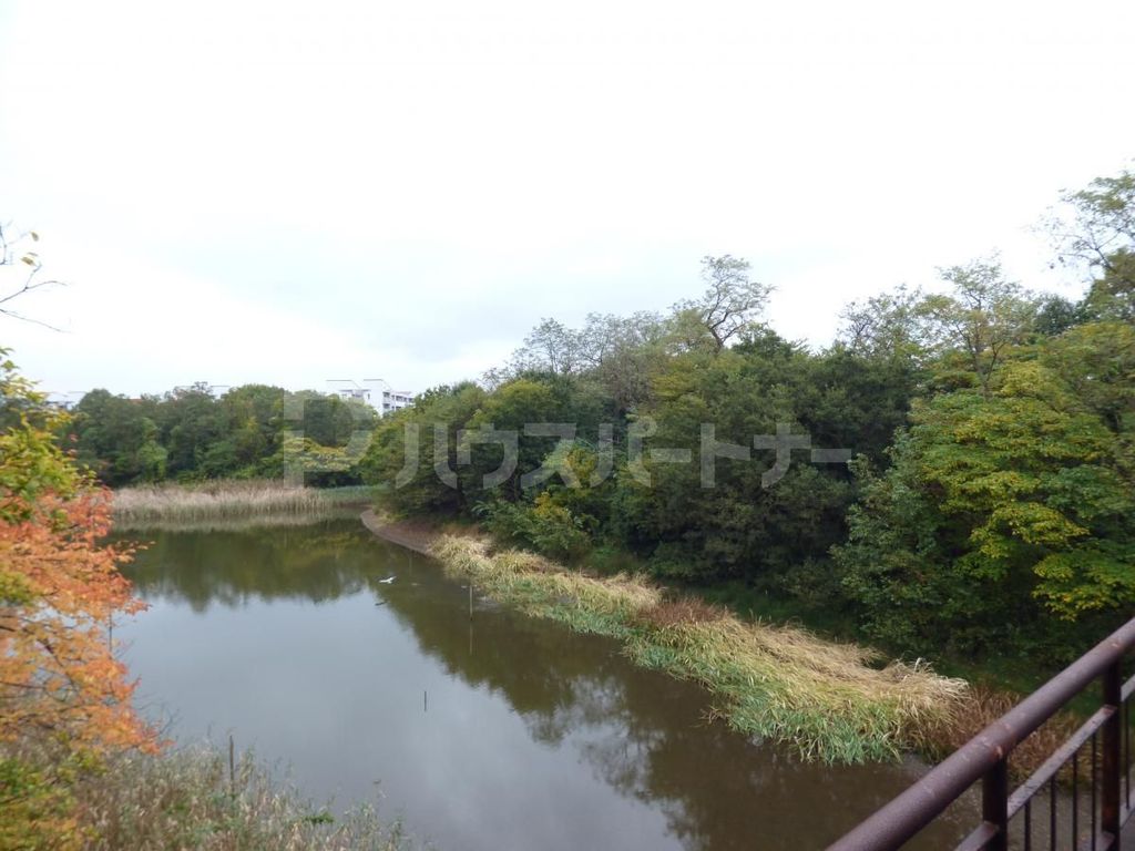 公園　青葉の森公園（公園）まで1080m