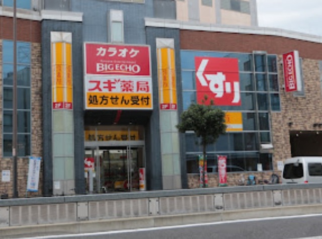 ドラックストア　スギ薬局玉出店（ドラッグストア）まで865m