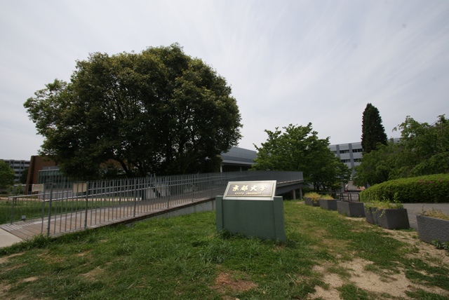大学・短大　京都大学宇治地区事務部（大学・短大）まで1110m