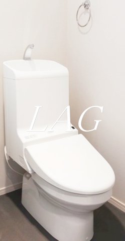 トイレ　トイレです。（同仕様です。）