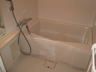 バス・シャワールーム　NVS(ニワヴィレッジセカンド) (写真間取り反転タイプ)