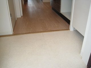 玄関　NVS(ニワヴィレッジセカンド) (写真間取り反転タイプ)