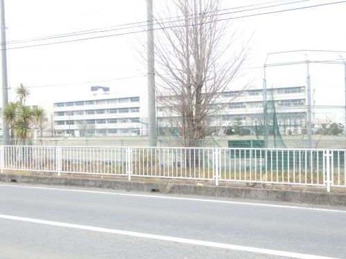 中学校　行田市立見沼中学校（中学校）まで3028m