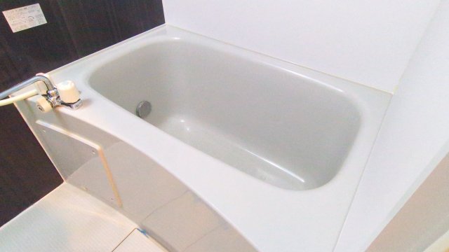 テラス・レイクマウントの風呂写真
