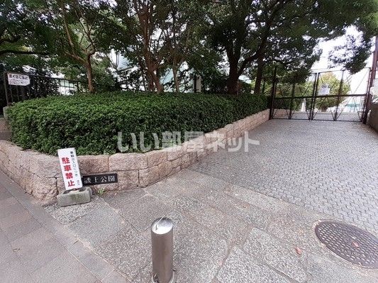 公園　磯上公園（公園）まで331m