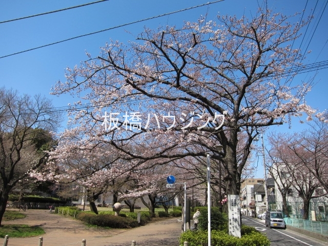 公園　都立城北中央公園（公園）まで1144m
