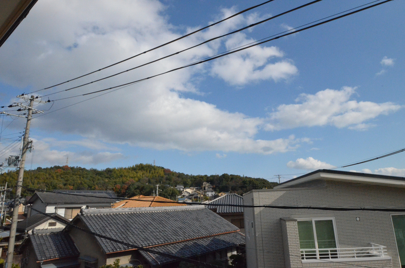 【ジュネス新在家Ｆの眺望】