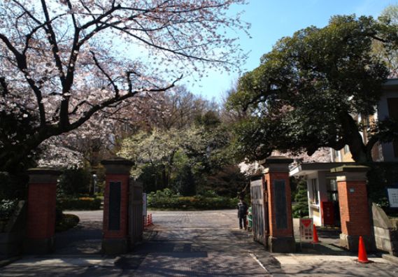 【タワーズ高田馬場の大学・短大】