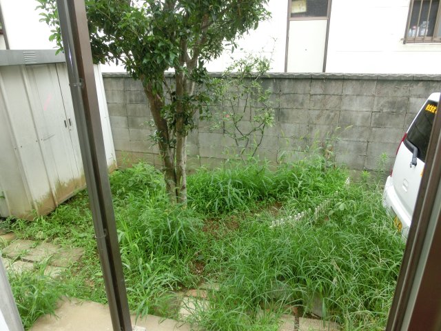 庭