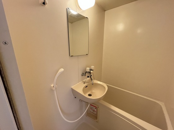 洗面設備　※別号室の写真です