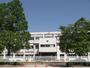 小学校　新川小学校（小学校）まで608m