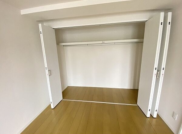 収納　2，3年着ない洋服はたぶん着ないよ・・断捨離