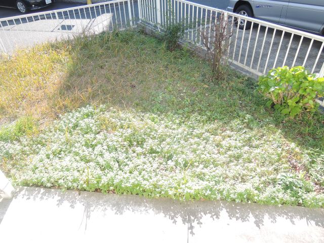 庭　別号室参考写真です