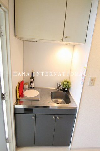 キッチン　家具は付きません