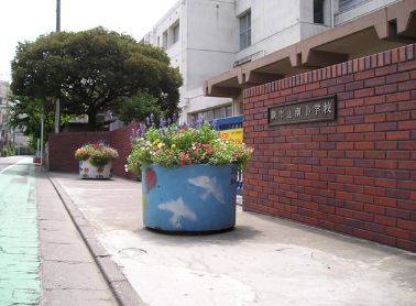 小学校　蕨市立南小学校（小学校）まで585m