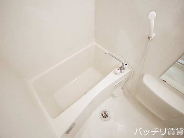 バス・シャワールーム　別号室タイプの為、現状を優先いたします