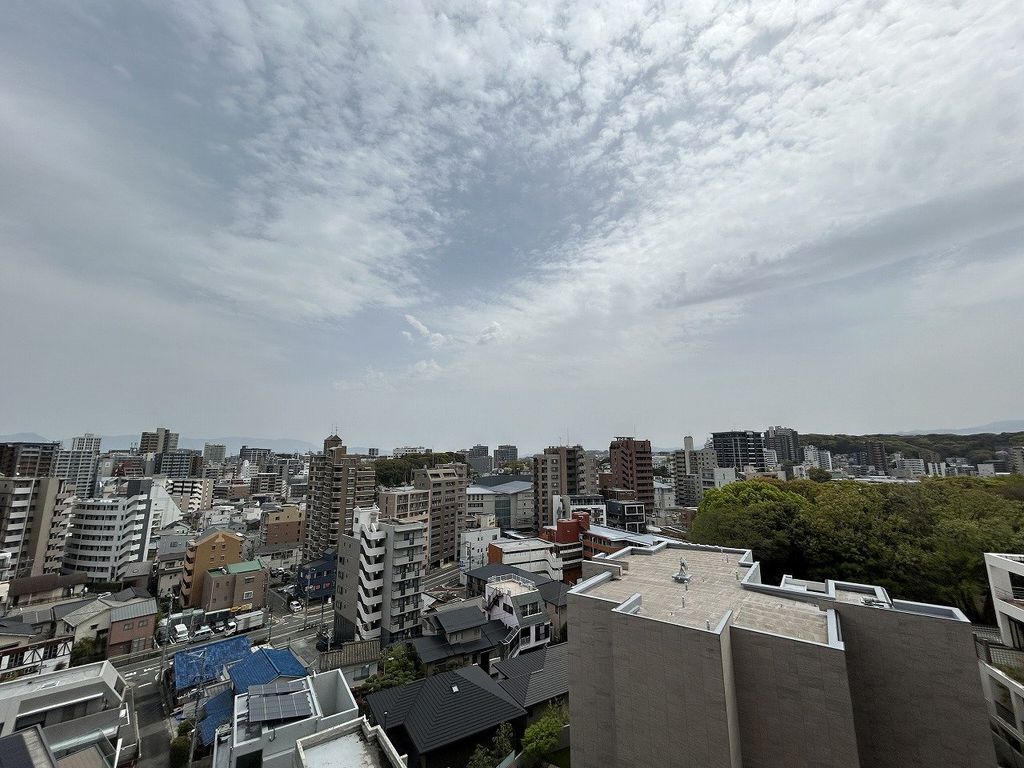 眺望　眺望(南東側バルコニー)