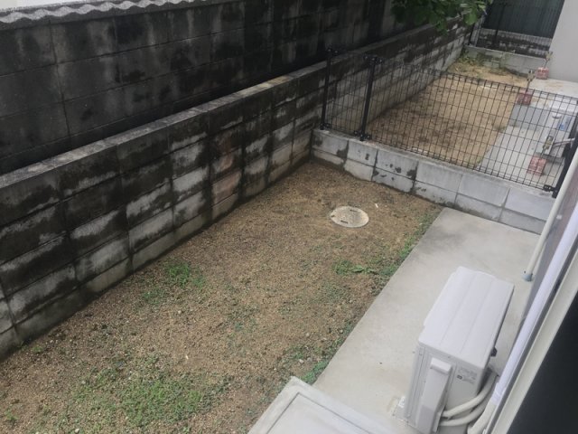 庭