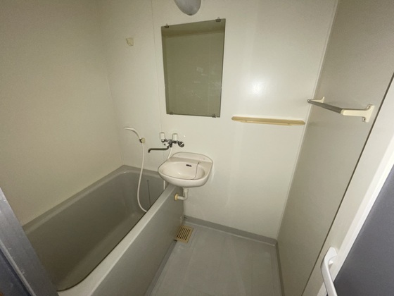 バス・シャワールーム　※別部屋の写真です