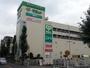 スーパー　サミットストア 志村店（スーパー）まで289m