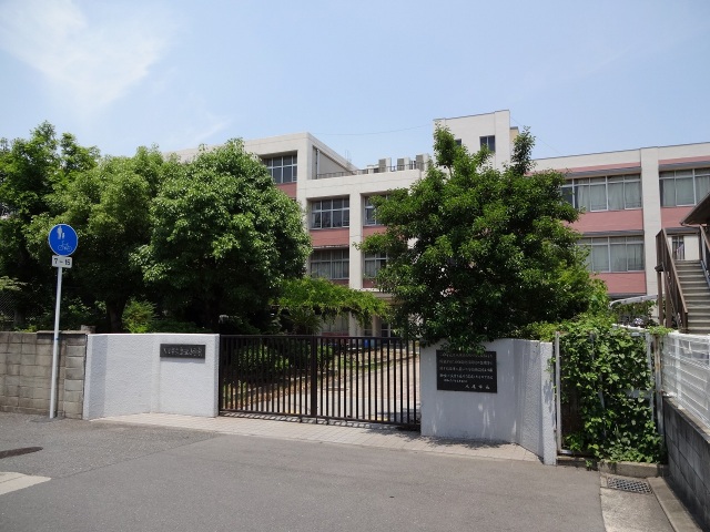 小学校　八尾市立志紀小学校（小学校）まで902m