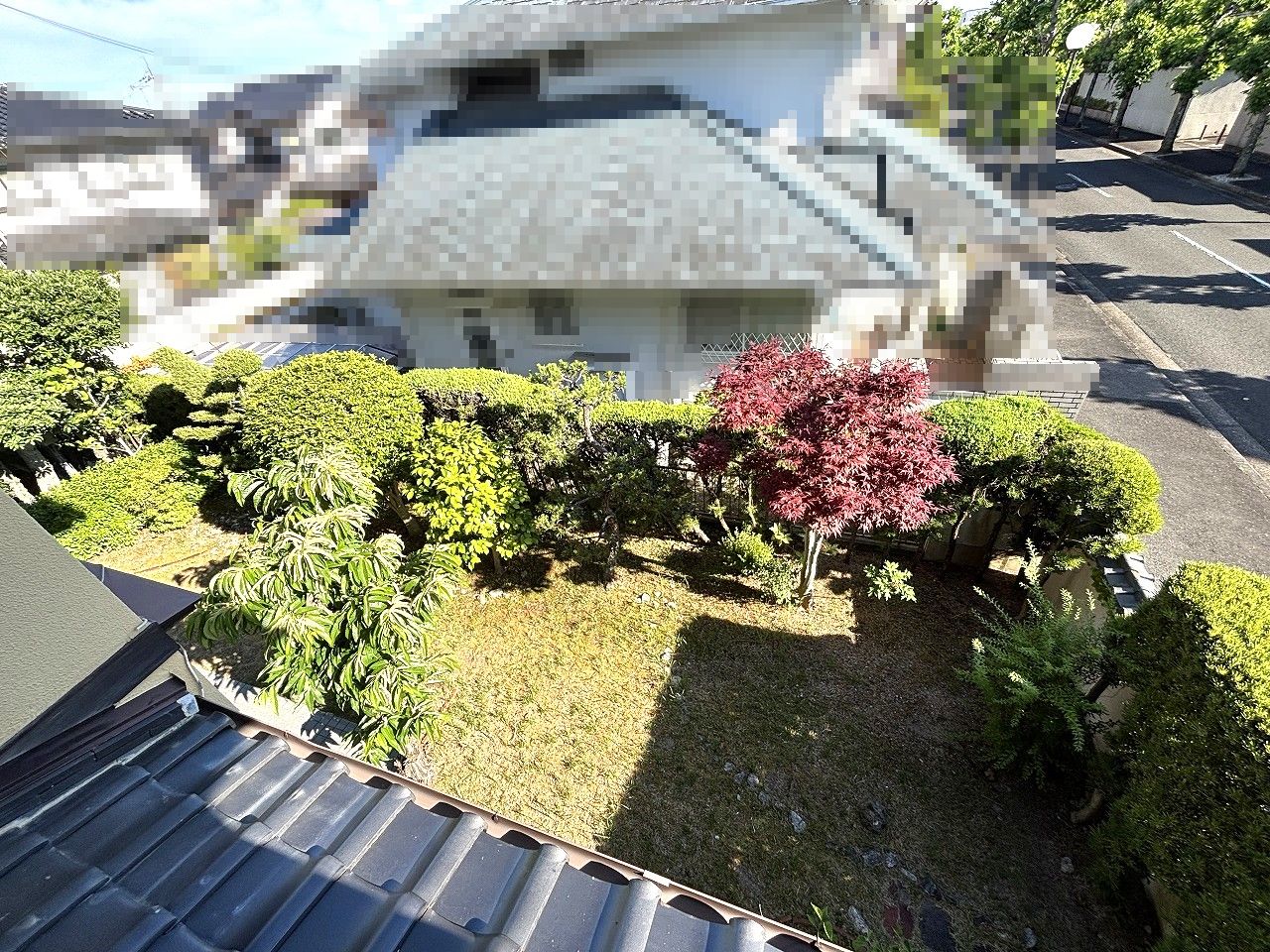 庭