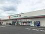 ドラックストア　ドラッグセイムス 太田南矢島店（ドラッグストア）まで505m