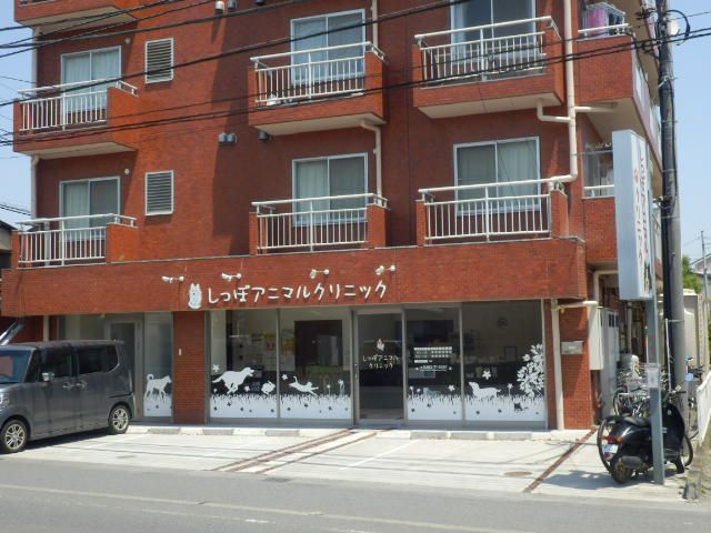 病院　しっぽアニマルクリニック（病院）まで494m